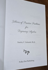 Zillions of Practice Problems Advance Algebra 2, Stanley F. Schmidt, Hardcover